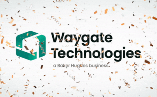 工業內窺鏡廠家Waygate Technologies介紹 工業內窺鏡廠家Waygate Technologies介紹